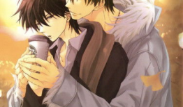 耽美漫画集,描绘爱情的细腻画卷